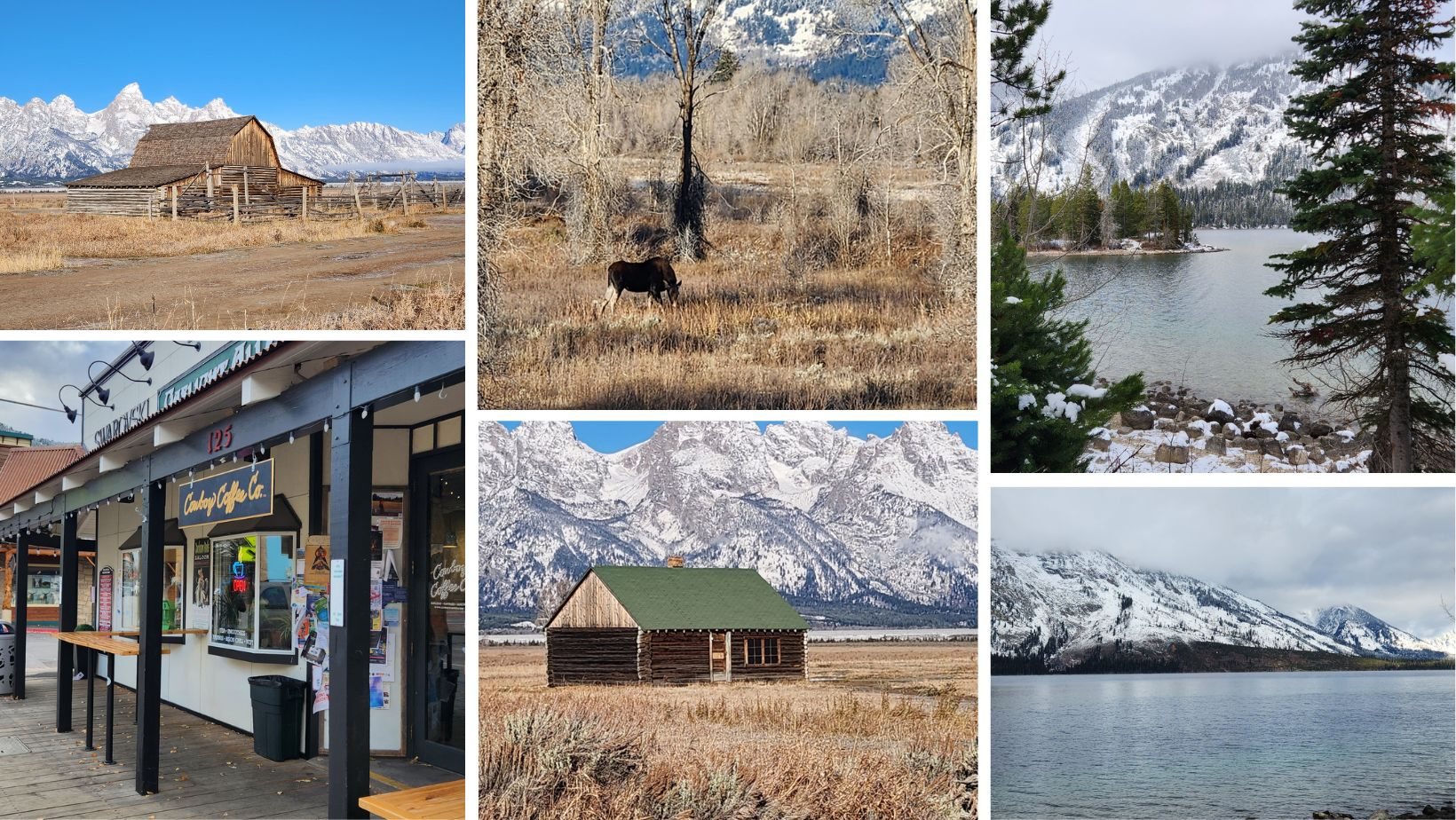 Travel well with tracey - Jackson Hole