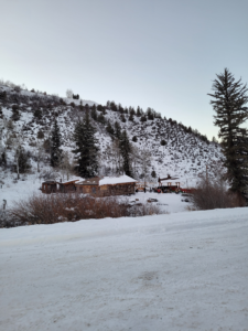 Horse-drawn sleigh ride at Bearcat Stables