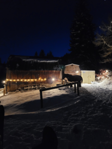 Cozy cabin and outdoor fire pit during a winter sleigh ride dinner