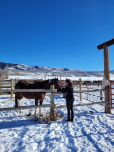 Horseback riding experience at 4 Eagle Ranch in Colorado during winter