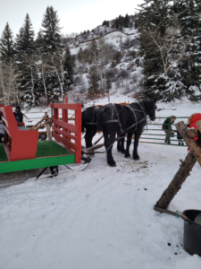 Horse-drawn sleigh ride at Bearcat Stables near Vail Colorado