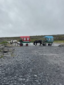 Horse Tour